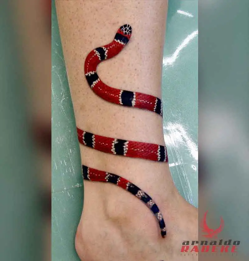 Coral Snake Tattoo 2