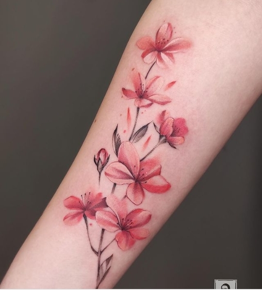 24 Enchanting Cherry Blossom Tattoo Creations – The Daily Worlds