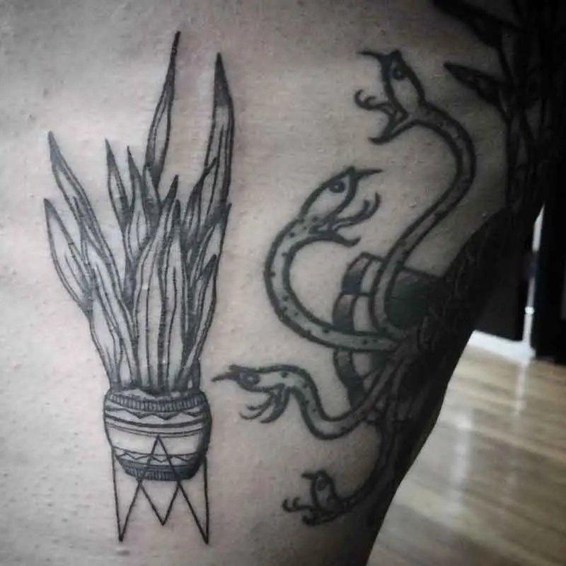 Snake Plant Tattoo 2