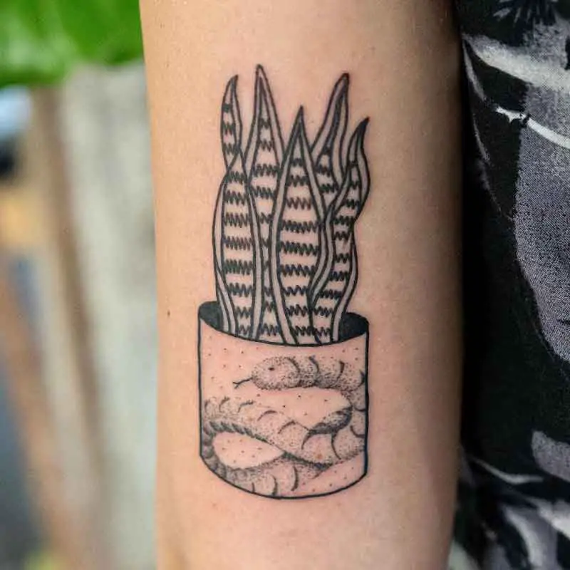 Snake Plant Tattoo 3