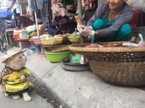 Quàng thượng hôm nay vi hành chợ cá, nhà ngươi buôn bán có được không?