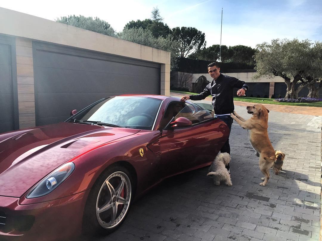 The Portuguese superstar's red Ferrari may not be the most appropriate car for his dogs