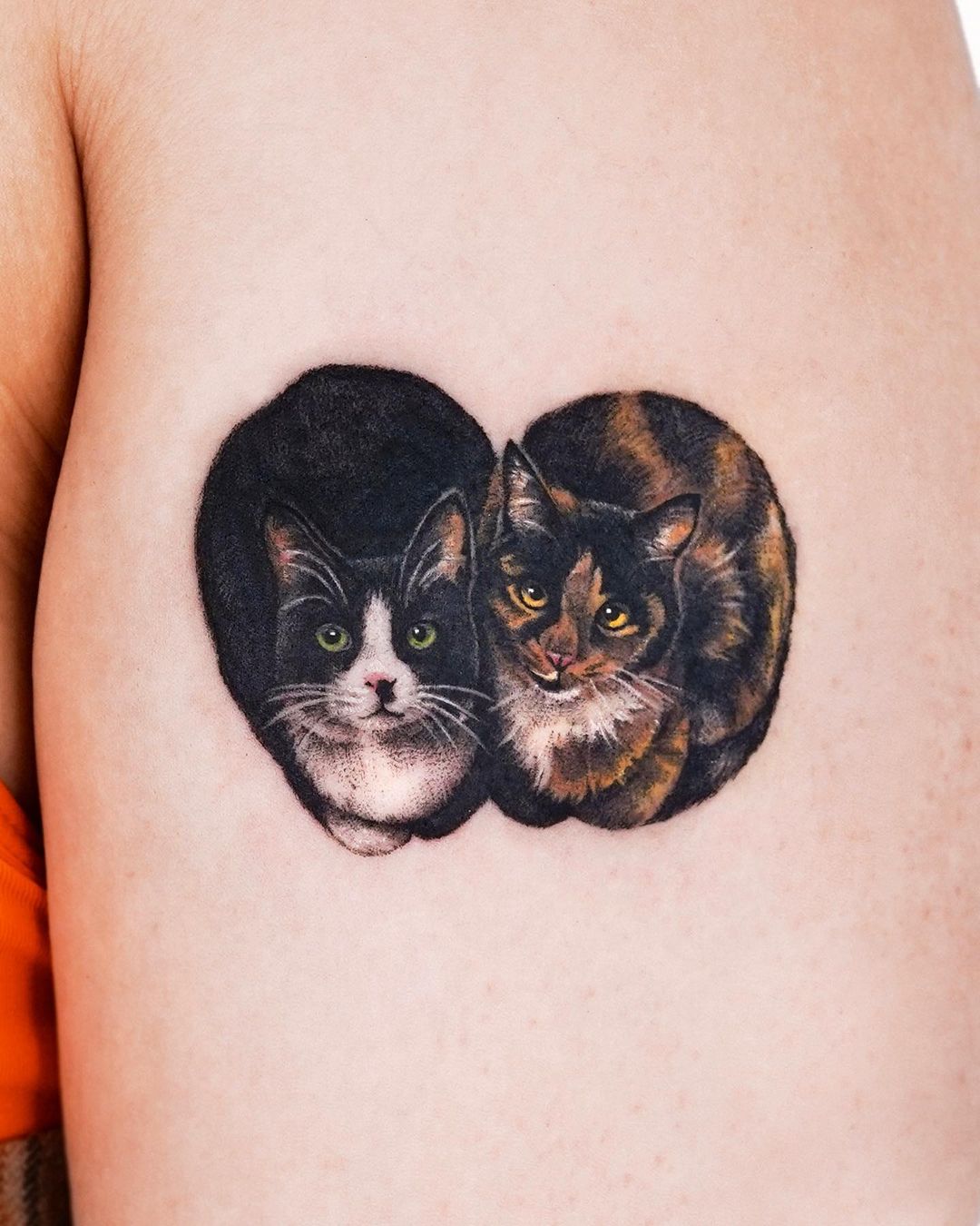 Cat couple tattoo