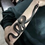  ​​Tattoos - snake wrapped around the arm (47 photos) 5 tattoos