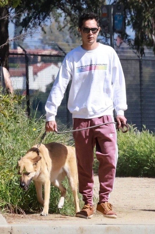 Max Minghella dog