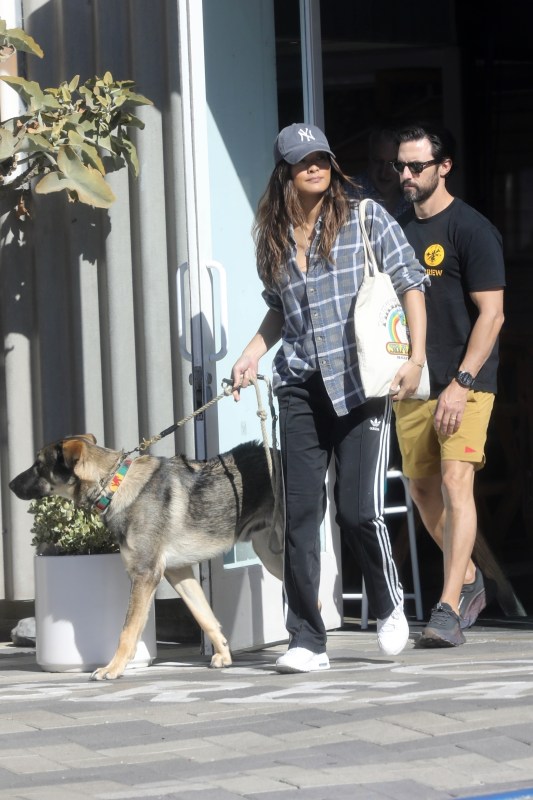 Milo Ventimiglia, wife Jarah Mariano, dog