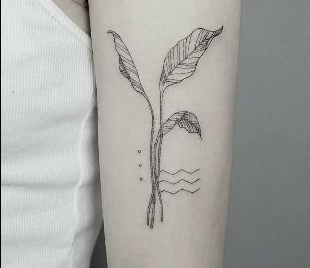 tiny sapling tattoo