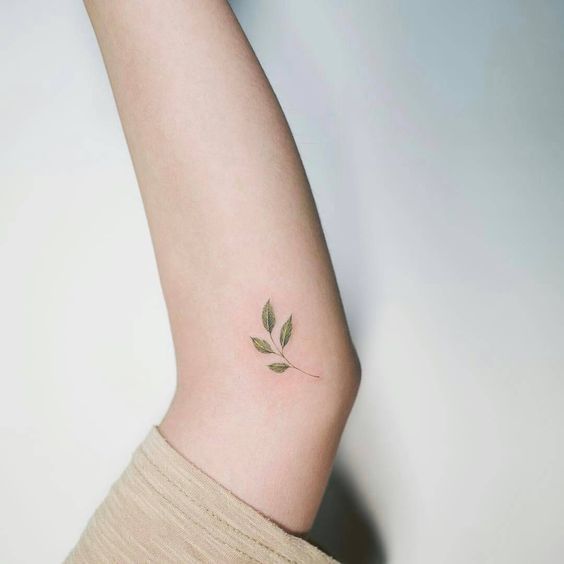 tiny sapling tattoo