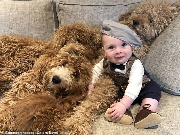 Theo has an incredible bond with the pups and loves playing with his fluffy friends