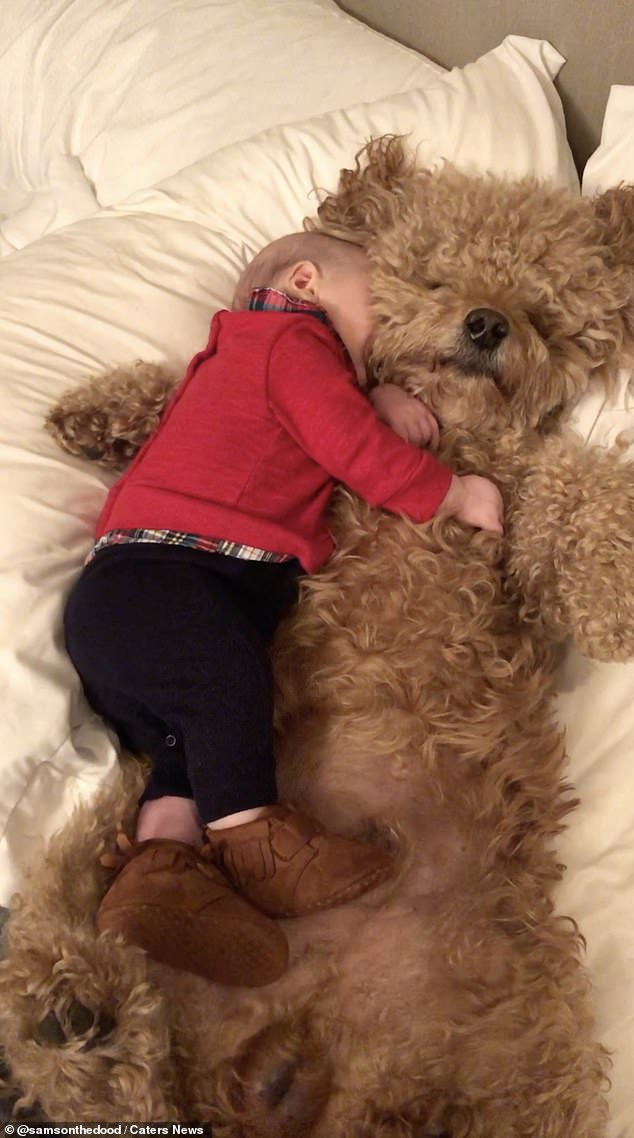 Jessica added: 'I didn't realise adding a baby to the mix would bring so much more attention but what is more pure than the bond between a baby and a dog'.