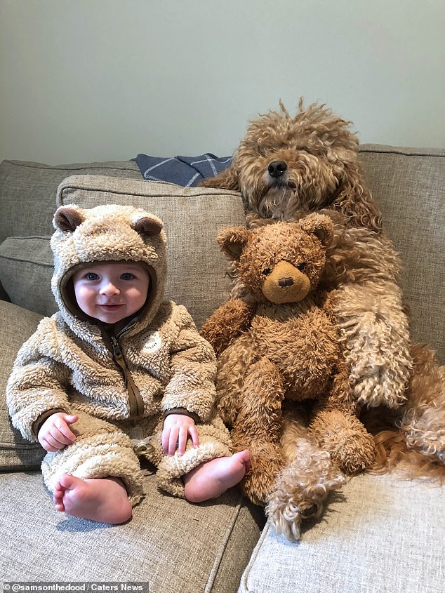 'I truly believe from the beginning he has felt the calming presence of the dogs. When he was just one week old, I put him in the middle of them and he beamed' Jessica added