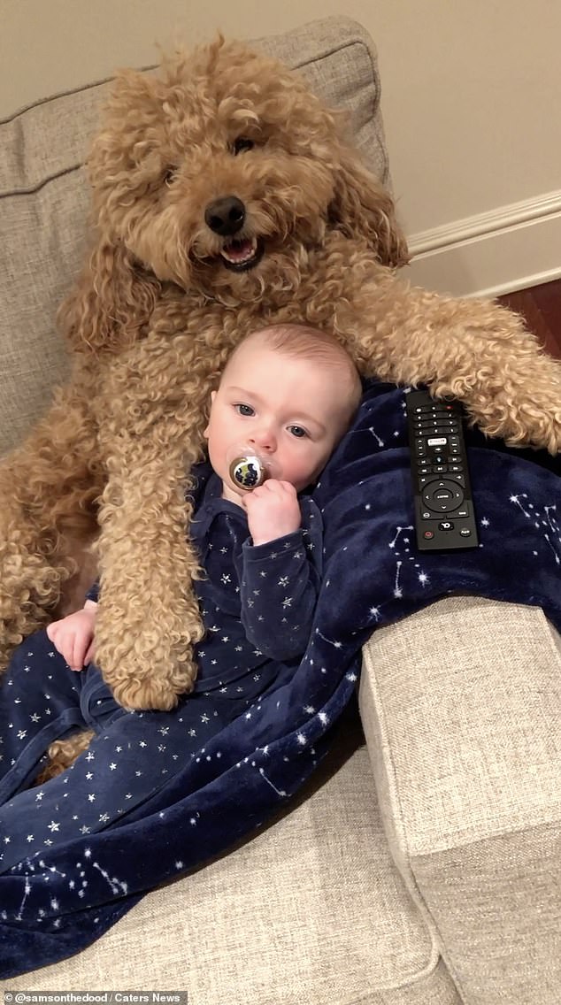 TV time! Samson and Theo snuggle up to watch TV in one of their many adorable snaps