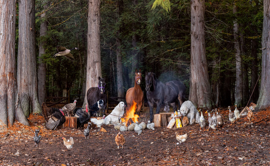 a group of people in a forest