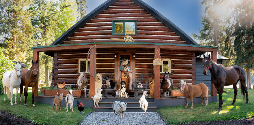 a brown horse standing in front of a house