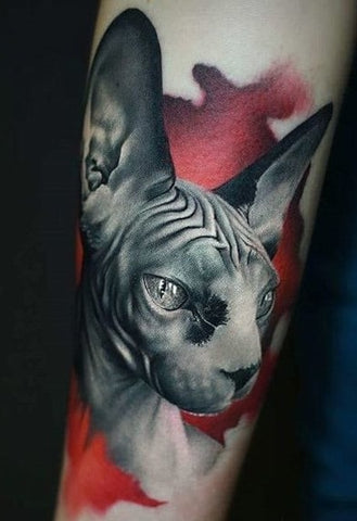 Sphynx Cat Tattoo