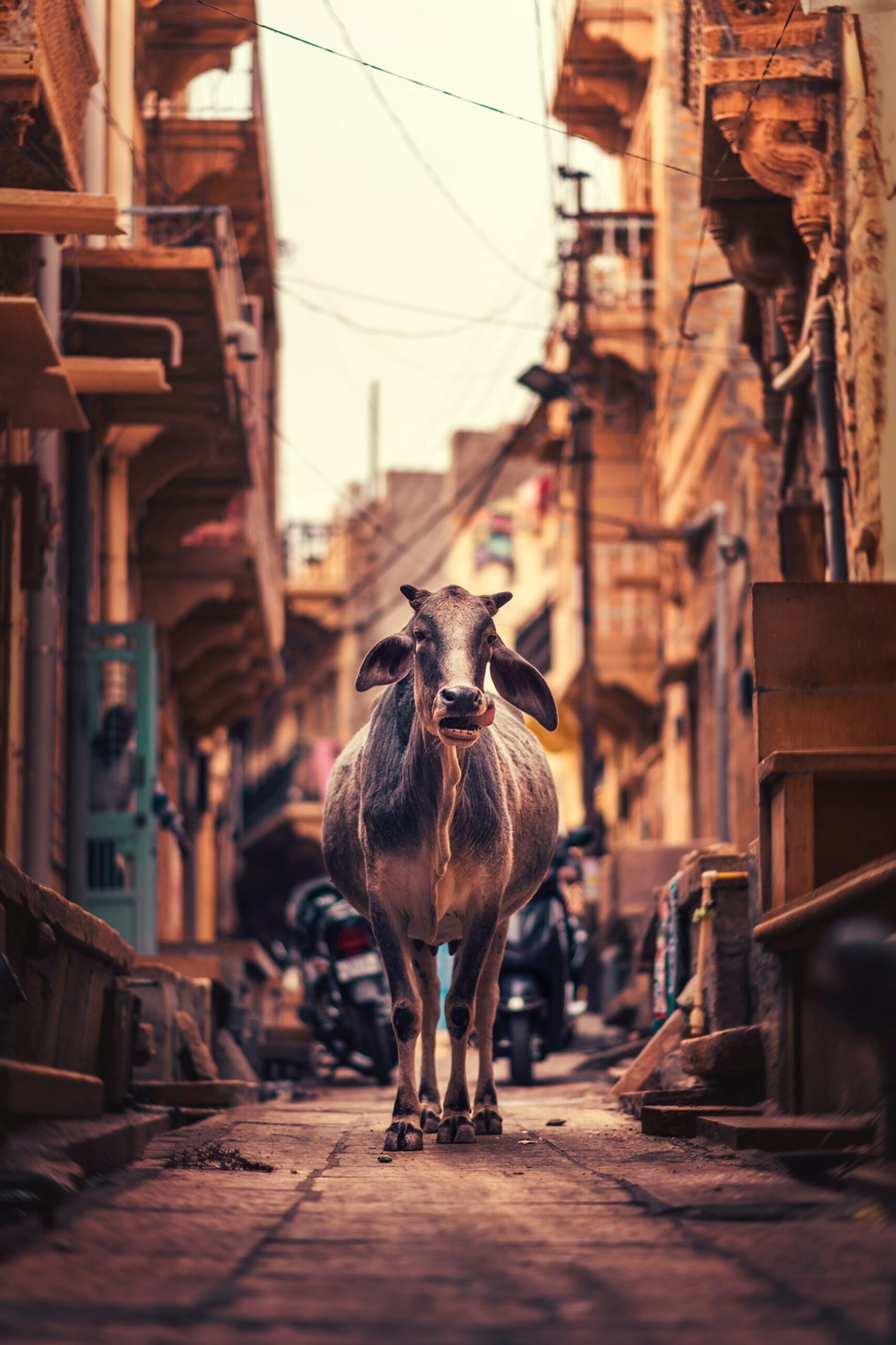 a narrow city street with buildings in the background