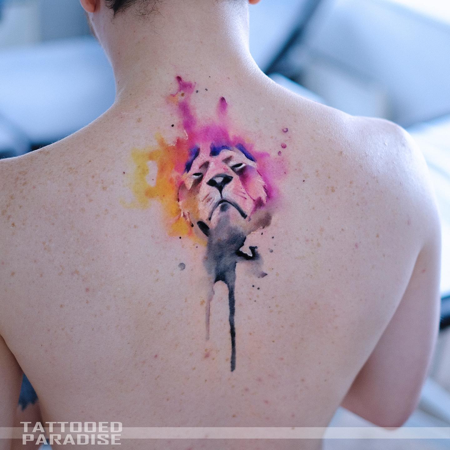 Watercolor style lion portrait tattoo located on the upper back