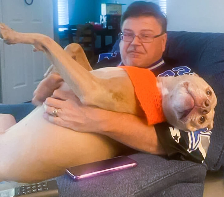 70-pound-lapdog-