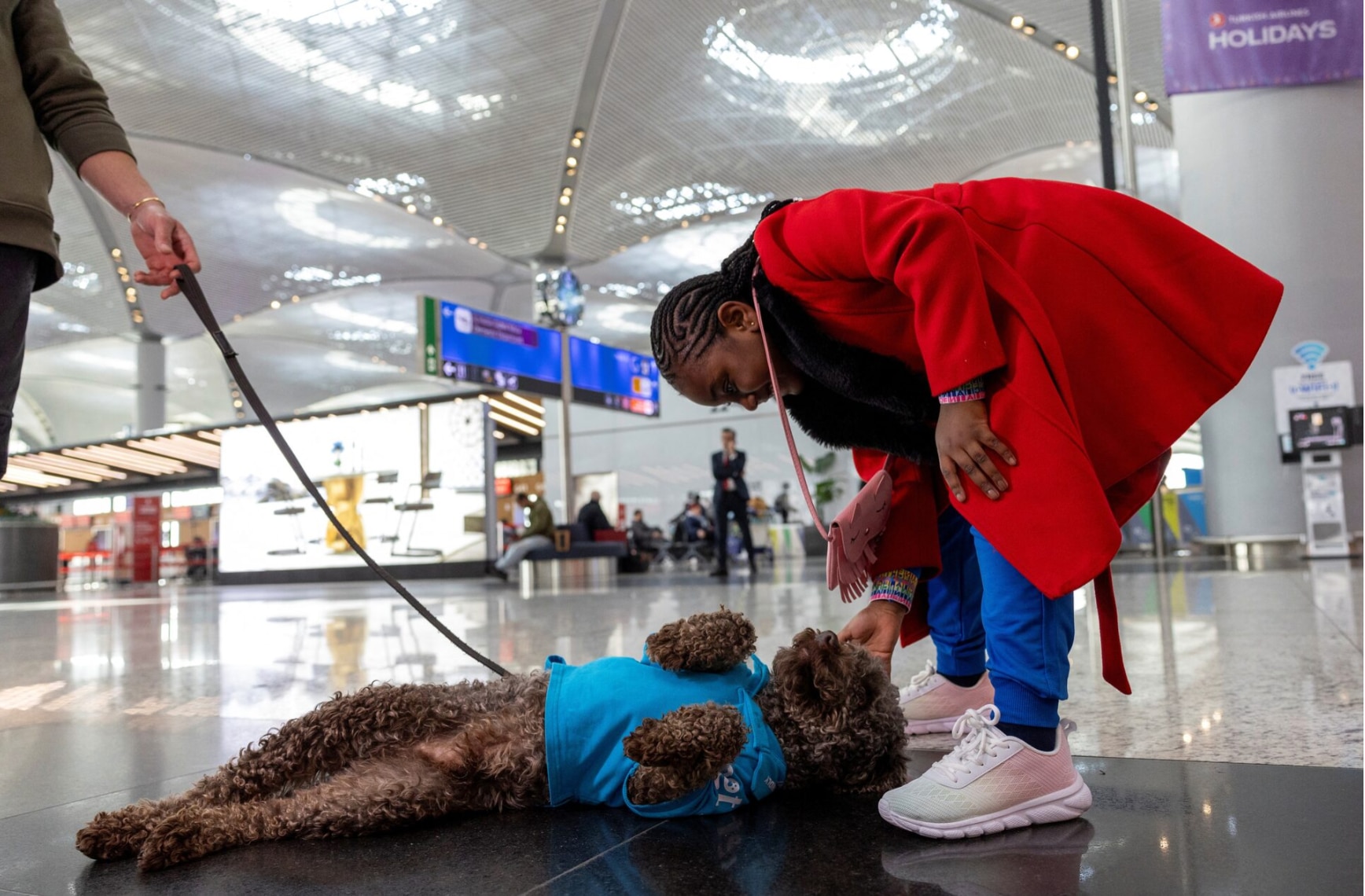 Un passager caresse l'un des cinq chiens de thérapie alors qu'ils parcourent l'aéroport d'Istanbul, à la recherche de passagers stressés pour tenter de calmer leurs nerfs avant de monter à bord de leur vol
